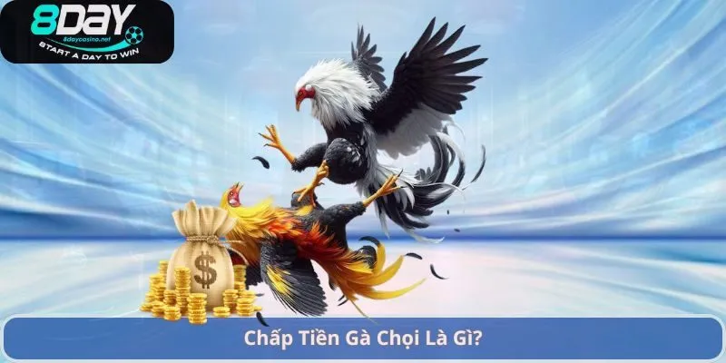 Cách Chấp Tiền Gà Chọi – Hướng Dẫn Đặt Cược Và Chiến Lược Hiệu Quả 1 Chấp Tiền Gà Chọi Là Gì?