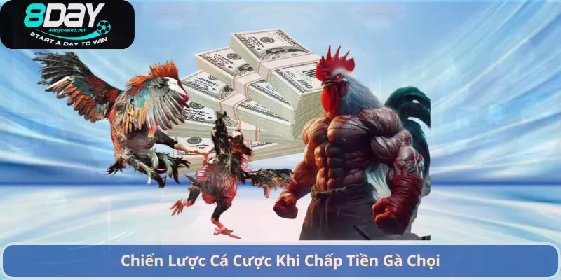Cách Chấp Tiền Gà Chọi – Hướng Dẫn Đặt Cược Và Chiến Lược Hiệu Quả 3 Chiến Lược Cá Cược Khi Chấp Tiền Gà Chọi