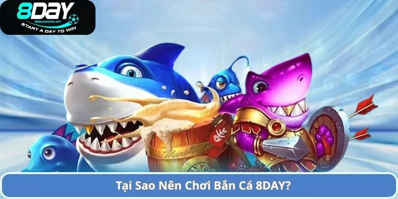 Tại Sao Nên Chơi Bắn Cá 8DAY?