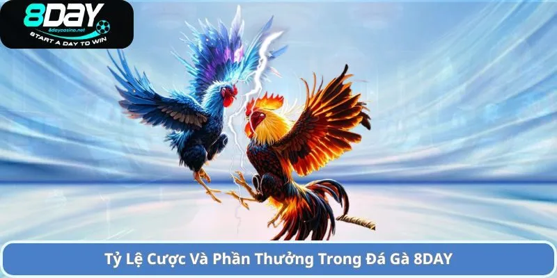 Tỷ Lệ Cược Và Phần Thưởng Trong Đá Gà 8DAY
